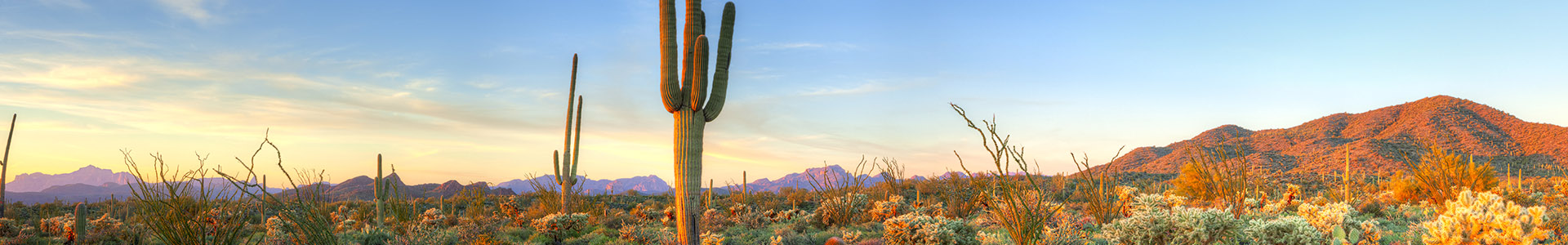 Arizona desert - Phoenix CyberKnife